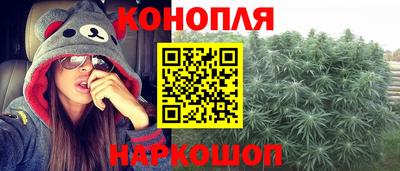 spice Кимры